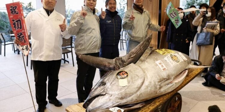Japanese chefs buy motorcycle-sized tuna for $1.3 million at Tokyo auction