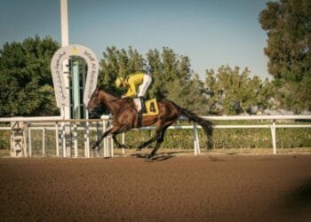 Jebel Ali Racecourse’s eighth meeting features Shadwell Stakes, Irish Race Day