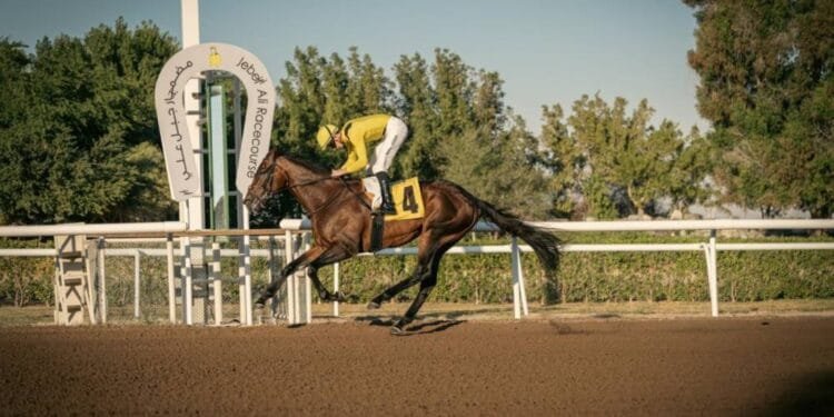 Jebel Ali Racecourse’s eighth meeting features Shadwell Stakes, Irish Race Day 1 Jebel Ali Racecourse’s eighth meeting features Shadwell Stakes, Irish Race Day