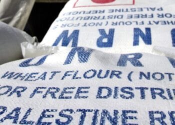 Judge dismisses lawsuit claiming UN agency enabled Hamas’ deadly attack on Israel