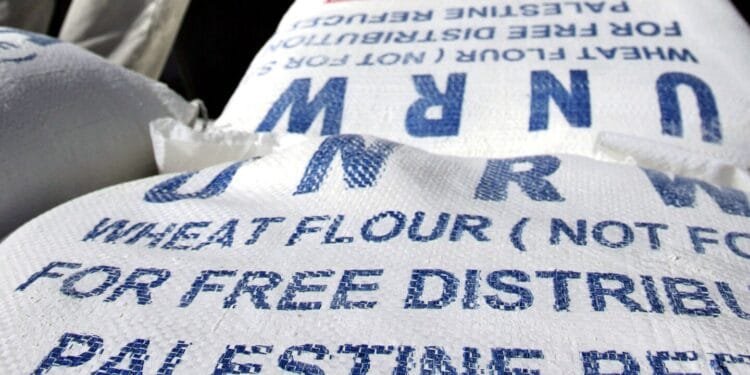 Judge dismisses lawsuit claiming UN agency enabled Hamas’ deadly attack on Israel 1 Judge dismisses lawsuit claiming UN agency enabled Hamas’ deadly attack on Israel