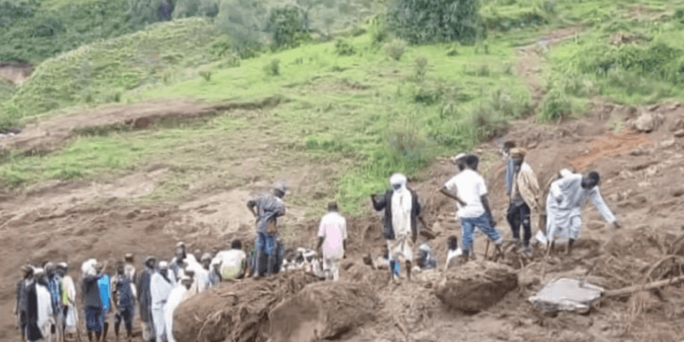 Landslide kills more than 1,000 in Sudan’s Darfur region, armed group says