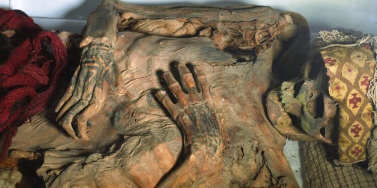 Lasers illuminate the intricate patterns on ancient tattoos of Peru’s mummies