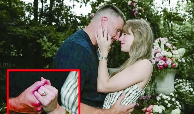 lucky 13 and 90 new looks