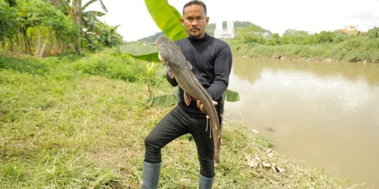 Malaysia’s ‘fish hunters’ target invasive species, one catch at a time