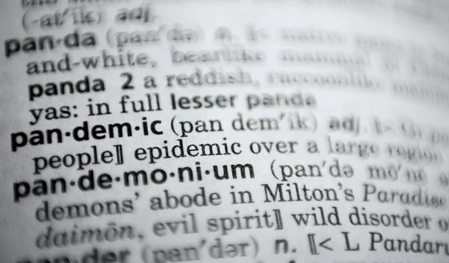 Merriam-Webster dictionary's new update is 'bussin' 1 tribune