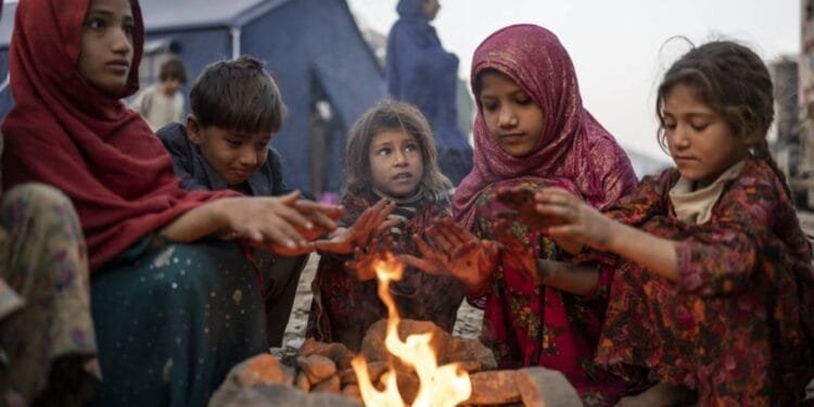 Millions of lives at risk from 'brutal' funding cuts, says UN refugee chief 1 Millions of lives at risk from 'brutal' funding cuts, says UN refugee chief