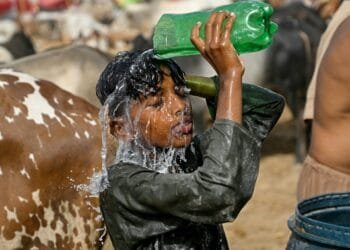 Month of May was world’s second-warmest on record: EU scientists