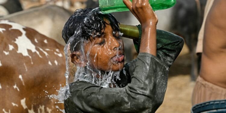 Month of May was world’s second-warmest on record: EU scientists