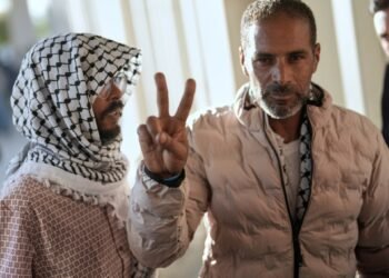 More Gaza flotilla activists allege mistreatment in Israeli detention