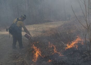 More evacuations as wildfires burn in the Carolinas. Forecasts aren’t encouraging for firefighters