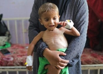 More than 100 groups blast Israel’s ‘weaponisation of aid’ as Gaza starves