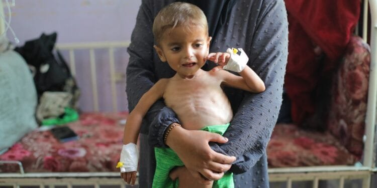 More than 100 groups blast Israel’s ‘weaponisation of aid’ as Gaza starves