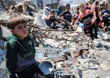 My nephew asks if he will eat meat only in heaven. I struggle to answer