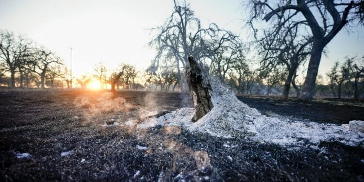 Oklahomans survey devastation after hundreds of homes are destroyed and damaged by wildfires