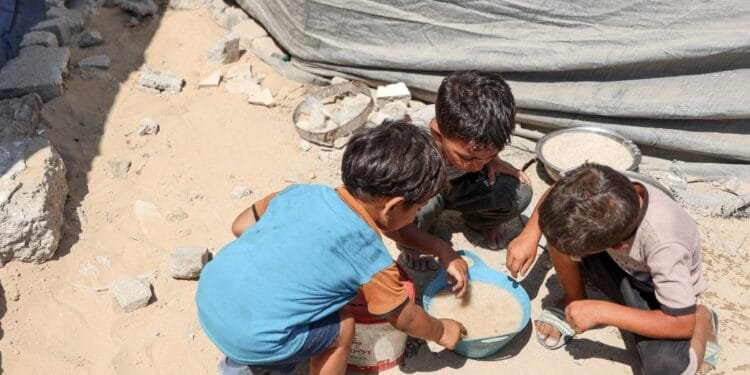 One in three Palestinians in Gaza going days without food, UNICEF says