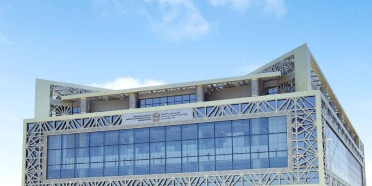 Over 12,500 private firms in UAE found violating laws during 688,000 ministry inspections in 2024