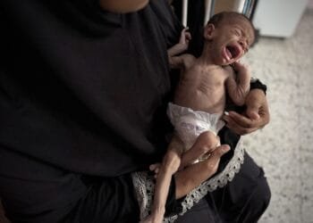 Palestinian newborns starving in Gaza as infant formula runs out