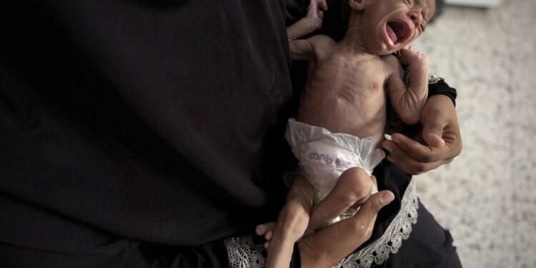 Palestinian newborns starving in Gaza as infant formula runs out