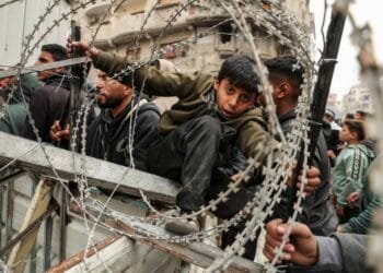 Palestinians appeal for help with short-term shelter in Gaza