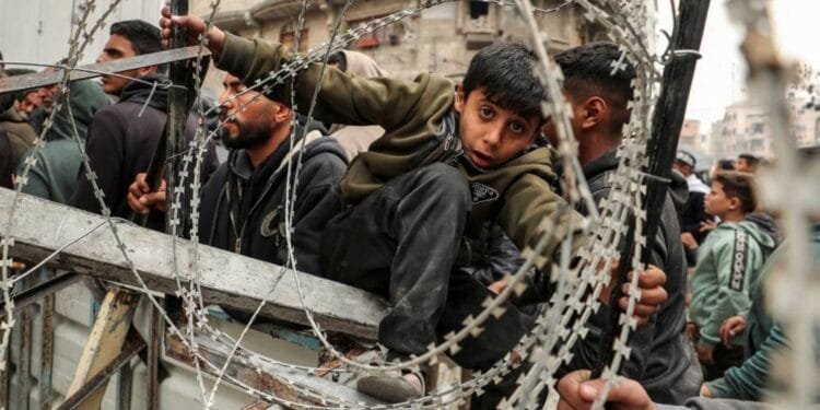 Palestinians appeal for help with short-term shelter in Gaza 1 Palestinians appeal for help with short-term shelter in Gaza