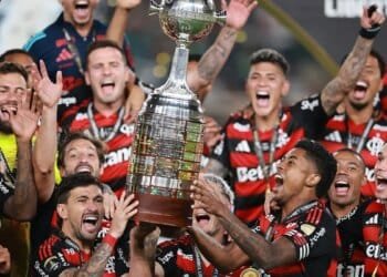 Palmeiras defeat Flamengo to win Copa Libertadores title