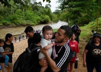 Panama reports sharp drop in irregular migration through Darien Gap