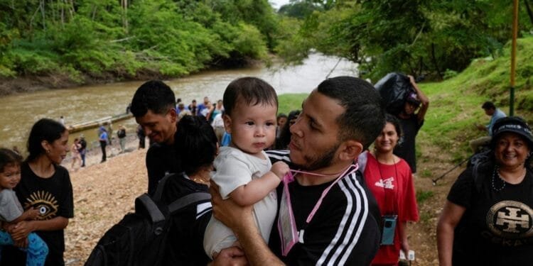 Panama reports sharp drop in irregular migration through Darien Gap