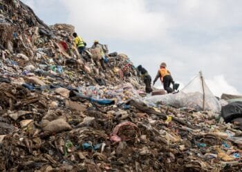 Plastic credits: A ‘false solution’ or the answer to global plastic waste?