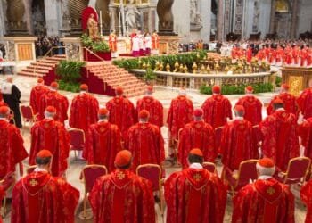 Pope wanted: What are cardinals looking for in a new leader?