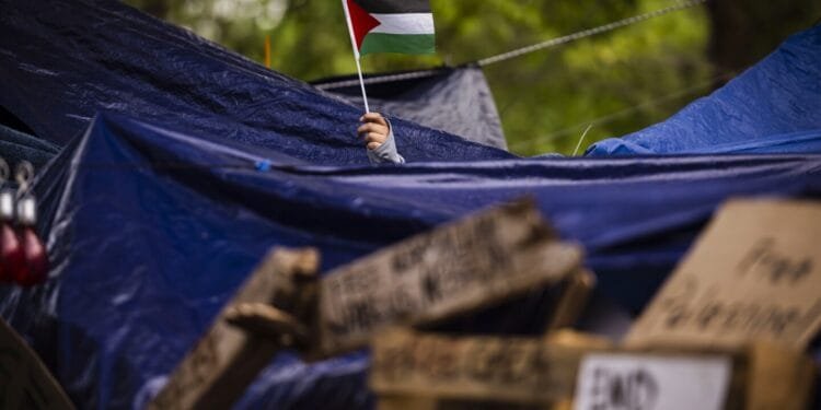 Private groups work to identify and report student protesters for possible deportation