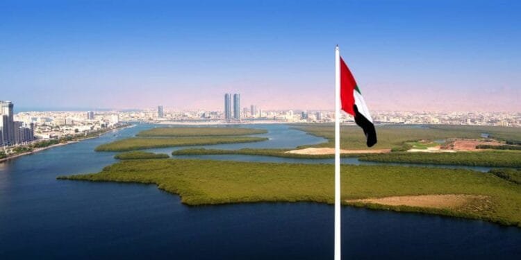 RAK Police nab gang with fake currency notes worth $7.5m