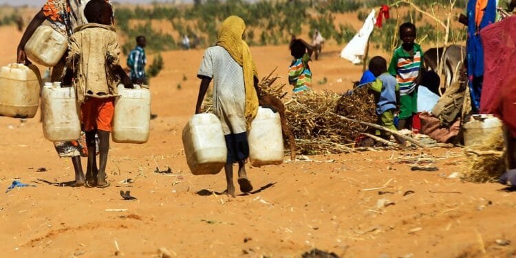 RSF attack on hospital in Sudan’s el-Fasher kills 12, medics say 1 RSF attack on hospital in Sudan’s el-Fasher kills 12, medics say