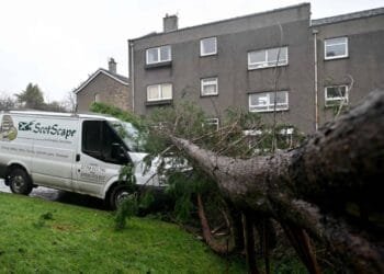 Record winds lash Ireland as Storm Eowyn grounds flights, shuts schools