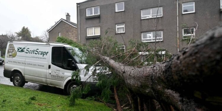 Record winds lash Ireland as Storm Eowyn grounds flights, shuts schools