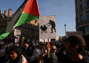 Relief, scepticism over Gaza ceasefire at pro-Palestine rally in London