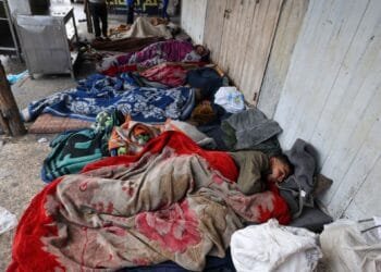 Respecting the human right to sleep? Dream on