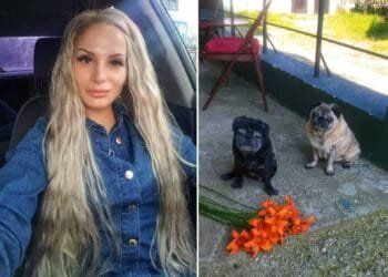 Romanian woman dies at home, hungry dogs start eating her corpse