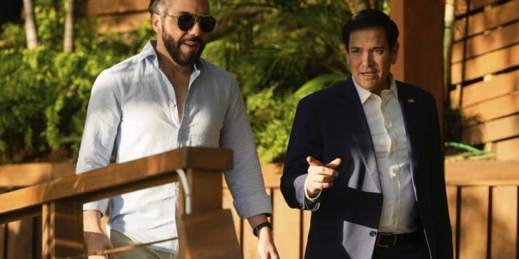 Rubio says El Salvador offers to accept deportees from US of any nationality, including Americans