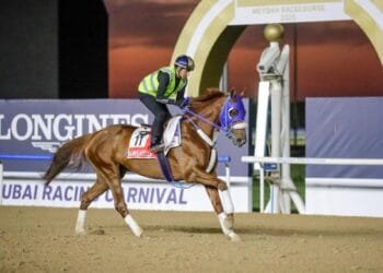 Sano confident Il Miracolo ready to deliver, DRC announces schedule change for WC