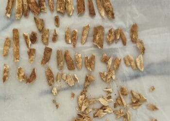 Scientists date remains of an ancient child that resembles both humans and Neanderthals