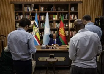 Somalia shapes its own destiny in global security forums