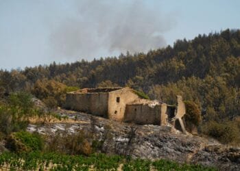 Southern Europe battling worst wildfires in decades amid huge blazes