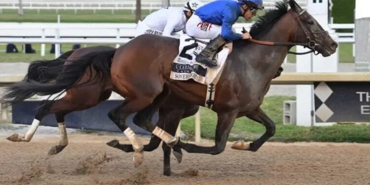 Sovereignty makes claim for Kentucky Derby