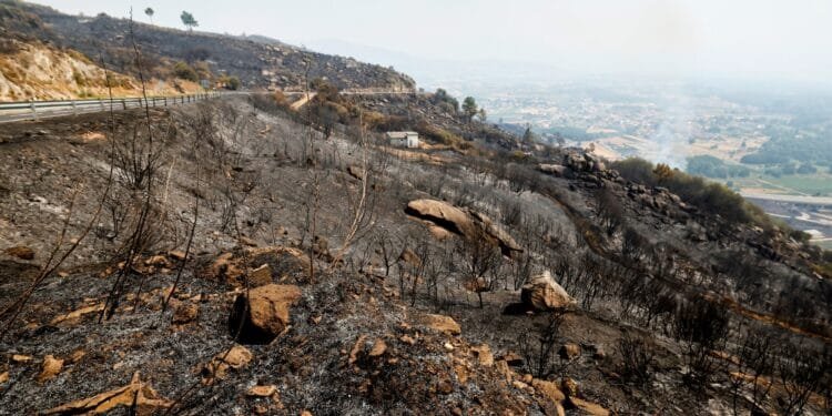 Spain suffers third wildfire death as thousands remain displaced in Europe
