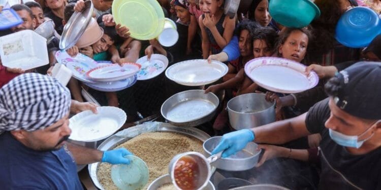 Starvation must not be used as a weapon in Gaza: S. Africa