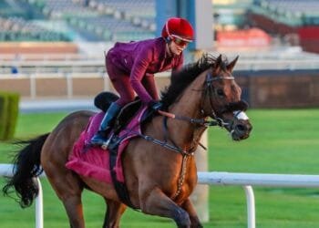 Sutherland looking forward to ‘super’ opportunity in Dubai Golden Shaheen
