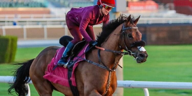 Sutherland looking forward to ‘super’ opportunity in Dubai Golden Shaheen