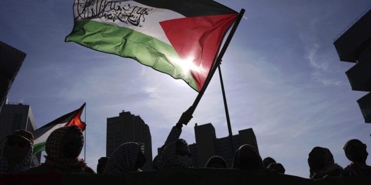 Takeaways about groups working to identify and report foreign student protesters