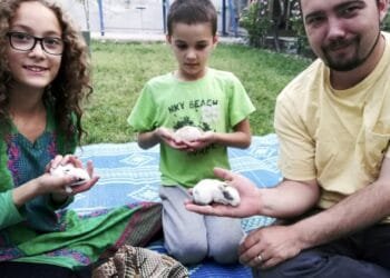 Taliban say 2 Americans held in Afghanistan were freed in a prisoner exchange